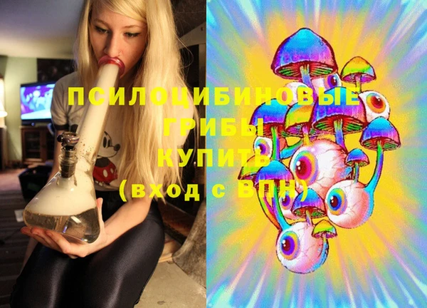 mdma Бородино