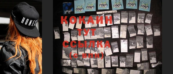 mdma Бородино