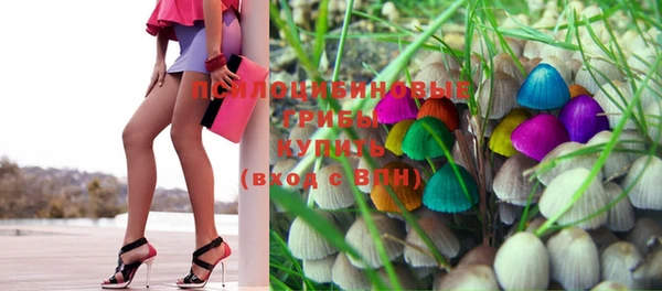 круглые Бронницы